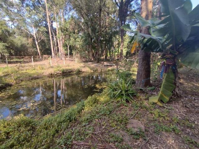 Sítio e chácara venda em Jardim da Mina, Itupeva