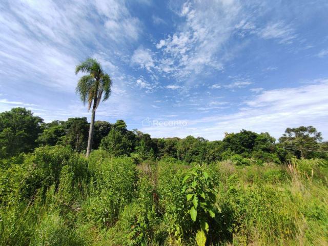 Sítio e chácara venda em Gramado, Região Geográfica Intermediária de Caxias do Sul