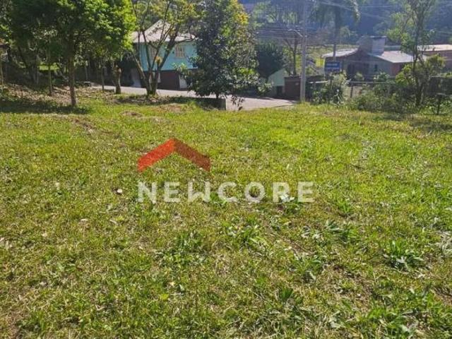 Sítio e chácara venda em Região Geográfica Imediata de Caxias do Sul, Caxias do Sul