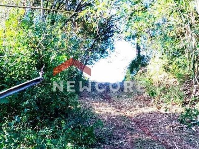 Sítio e chácara venda em Região Geográfica Imediata de Porto Alegre, Região Metropolitana de Porto Alegre