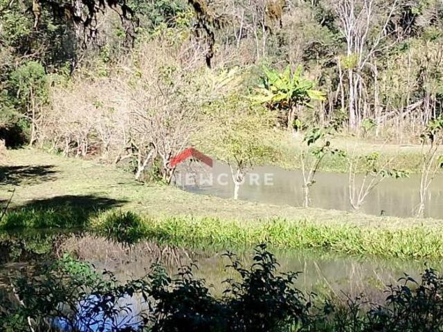 Sítio e chácara venda em Região Geográfica Imediata de Curitiba, Região Metropolitana de Curitiba