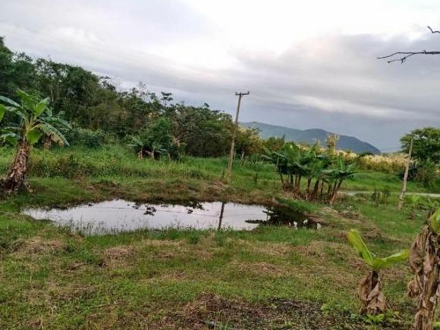 Sítio e chácara venda em Mongaguá