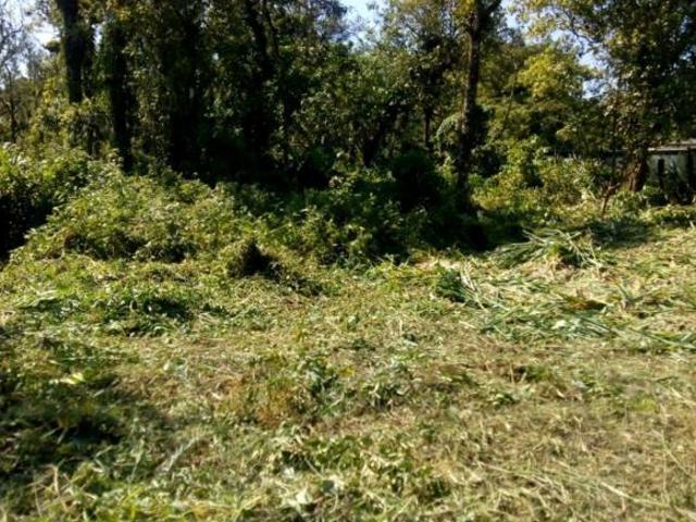 Sítio e chácara venda em Mongaguá, São Paulo
