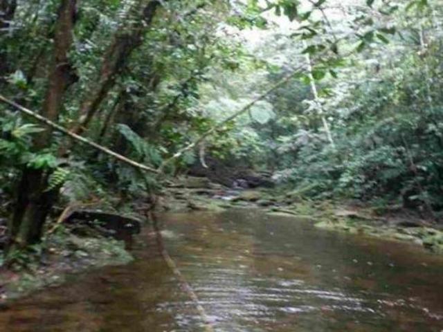 Sítio e chácara venda em Região Geográfica Imediata do Rio de Janeiro, Região Metropolitana do Rio de Janeiro