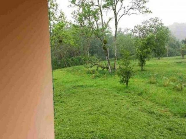 Sítio e chácara venda em Mongaguá