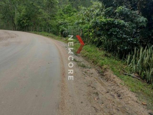 Sítio e chácara venda em Região Geográfica Imediata de Curitiba, Região Metropolitana de Curitiba