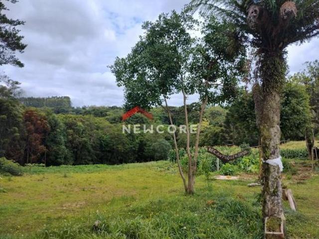 Sítio e chácara venda em Região Geográfica Imediata de Curitiba, Região Metropolitana de Curitiba