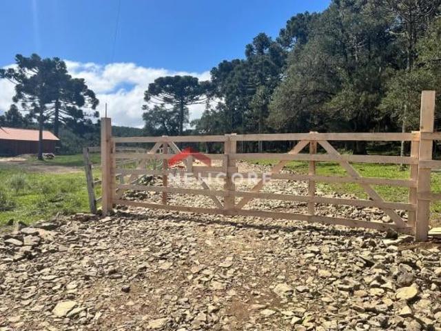 Sítio e chácara venda em Região Geográfica Imediata de Caxias do Sul, São Francisco de Paula