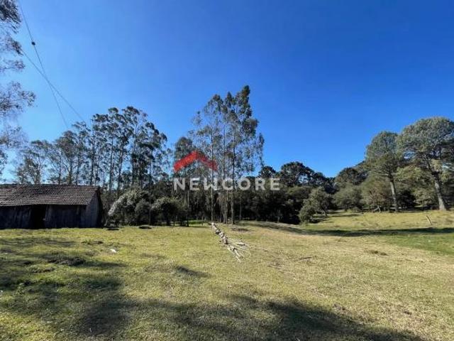 Sítio e chácara venda em Região Geográfica Imediata de Caxias do Sul, São Francisco de Paula