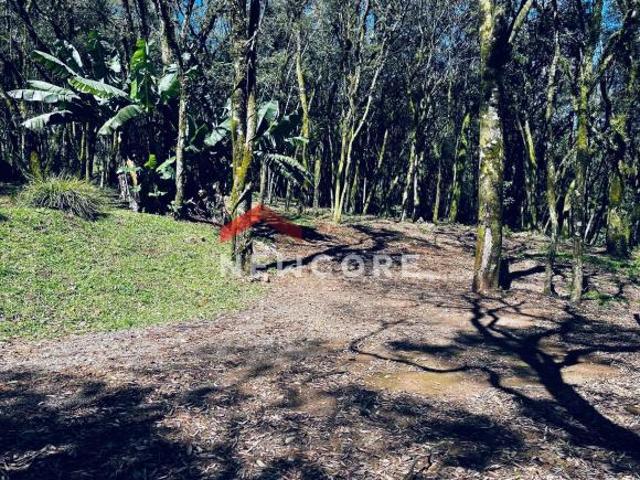 Sítio e chácara venda em Lajeado Grande, São Francisco de Paula