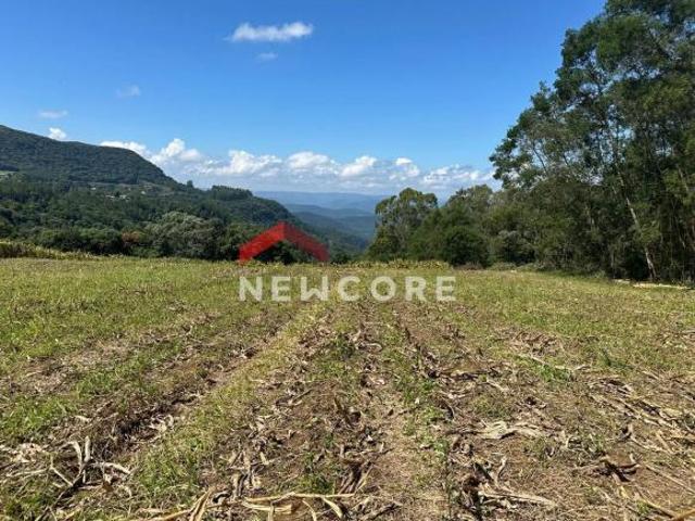 Sítio e chácara venda em Região Geográfica Imediata de Taquara - Parobé - Igrejinha, Três Coroas
