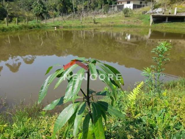 Sítio e chácara venda em Barnabés, Juquitiba