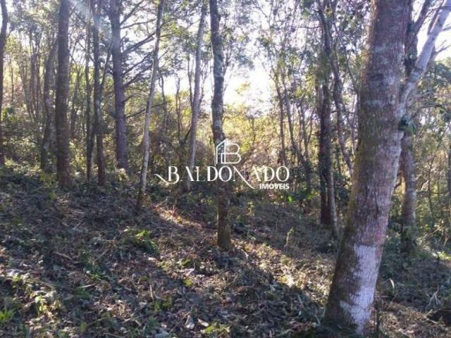 Sítio e chácara venda em Extrema