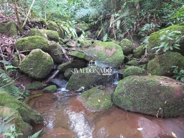 Sítio e chácara venda em Extrema