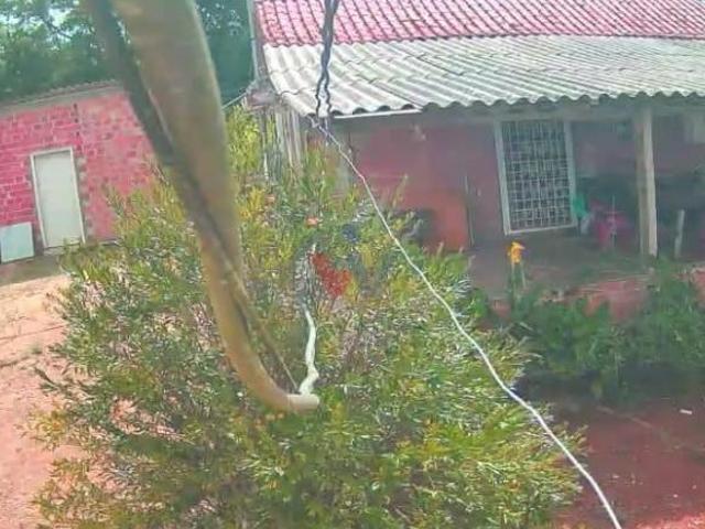 Sítio e chácara venda em Região Geográfica Imediata de Curitiba, Região Metropolitana de Curitiba