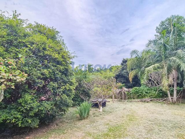 Sítio e chácara venda em Jardim São Bento do Recreio, Valinhos