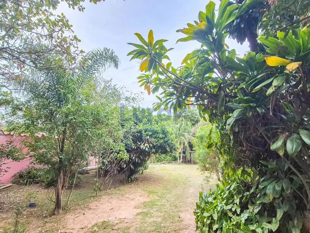 Sítio e chácara venda em Jardim São Bento do Recreio, Valinhos