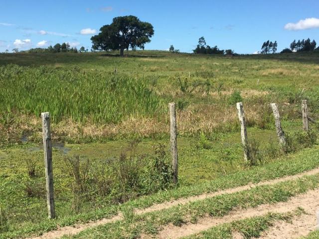 Sítio e chácara venda em Araruama