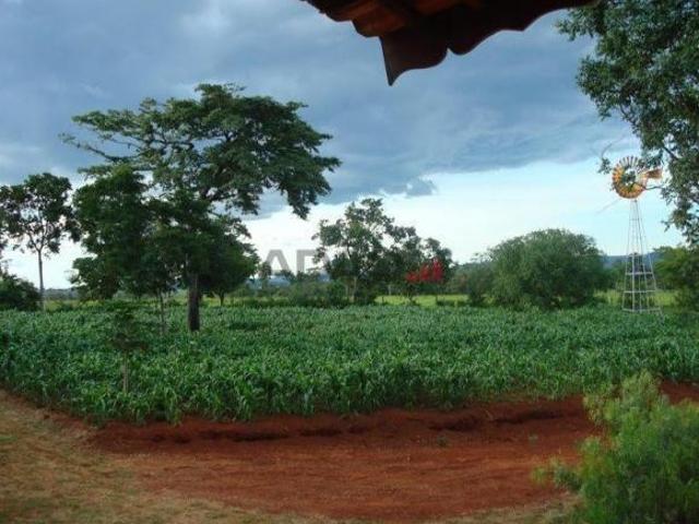Sítio e chácara venda em Região Geográfica Imediata de Goiânia, Goianira