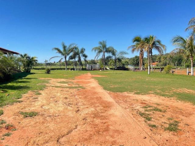 Sítio e chácara venda em Região Imediata de Araçatuba, Guararapes