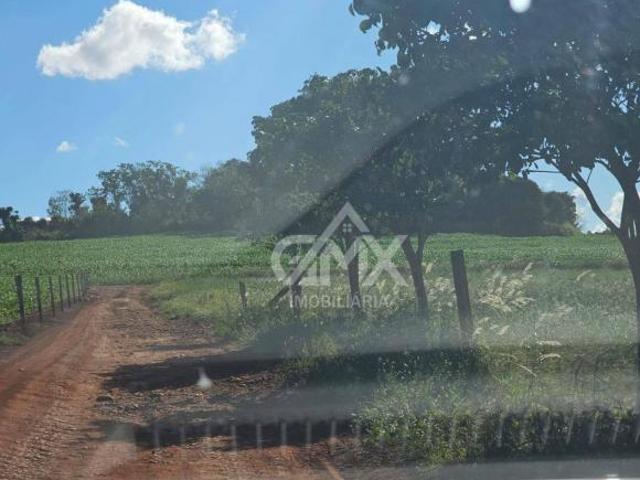 Sítio e chácara venda em Jardim Silvino, Cambé