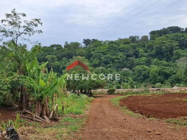 Sítio e chácara venda em Região Geográfica Imediata de Londrina, Londrina