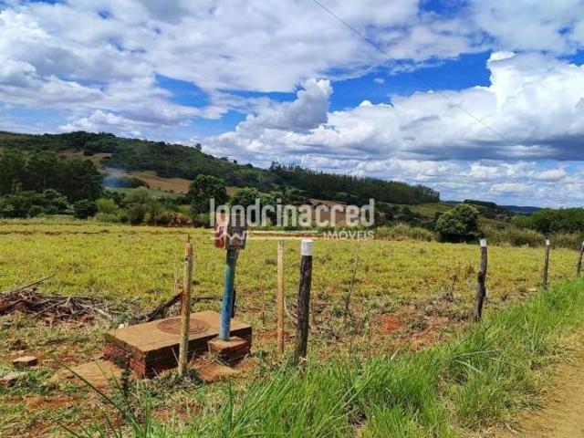 Sítio e chácara venda em Região Geográfica Imediata de Londrina, Ibiporã