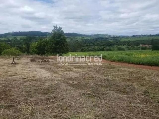 Sítio e chácara venda em Região Geográfica Imediata de Londrina, Ibiporã