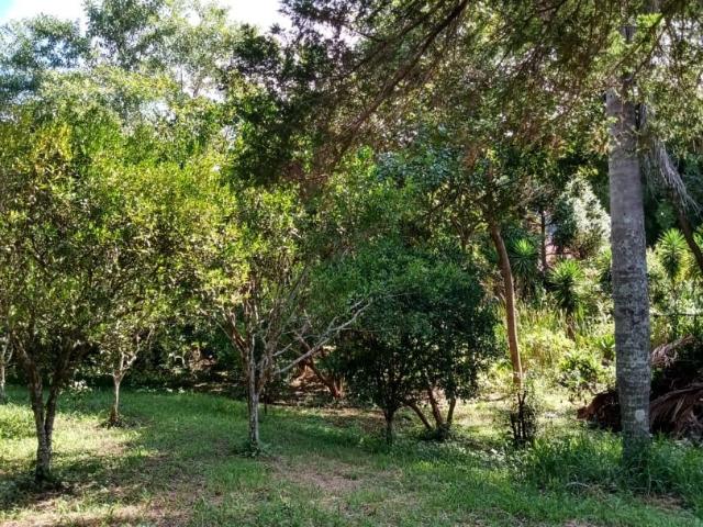 Sítio e chácara venda em Região Imediata de Sorocaba, Região Metropolitana de Sorocaba