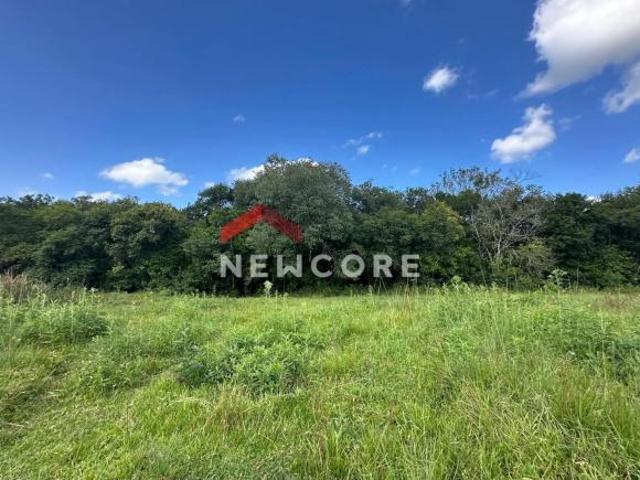 Sítio e chácara venda em Região Geográfica Imediata de Taquara - Parobé - Igrejinha, Região Metropolitana de Porto Alegre