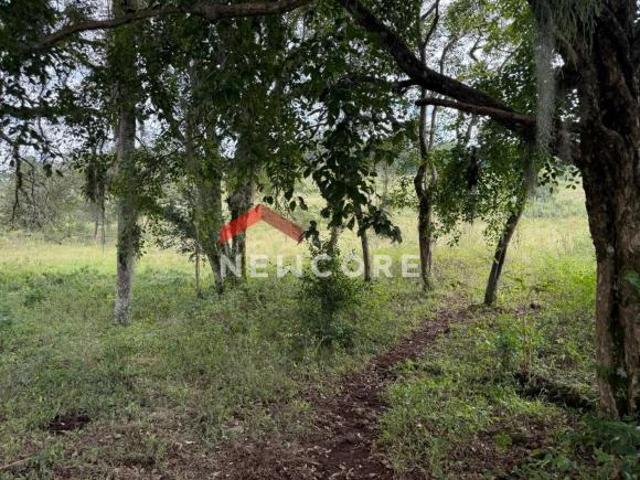 Sítio e chácara venda em Região Geográfica Imediata de Taquara - Parobé - Igrejinha, Região Metropolitana de Porto Alegre
