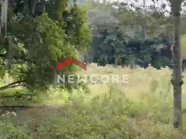 Sítio e chácara venda em Igrejinha
