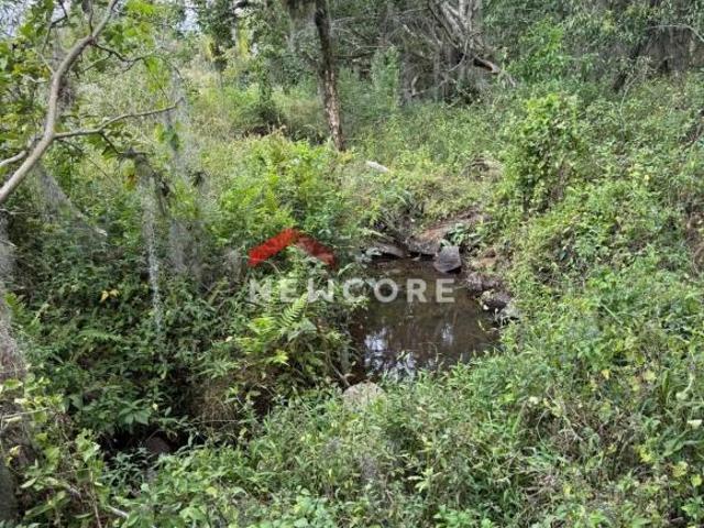 Sítio e chácara venda em Região Geográfica Imediata de Taquara - Parobé - Igrejinha, Região Metropolitana de Porto Alegre