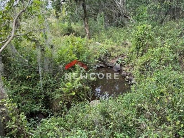 Sítio e chácara venda em Região Geográfica Imediata de Taquara - Parobé - Igrejinha, Região Metropolitana de Porto Alegre