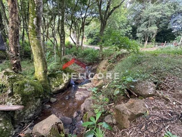 Sítio e chácara venda em Região Geográfica Imediata de Taquara - Parobé - Igrejinha, Região Metropolitana de Porto Alegre