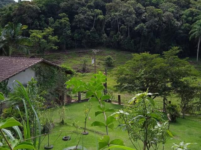 Sítio e chácara venda em Região Geográfica Imediata de Blumenau, Ilhota