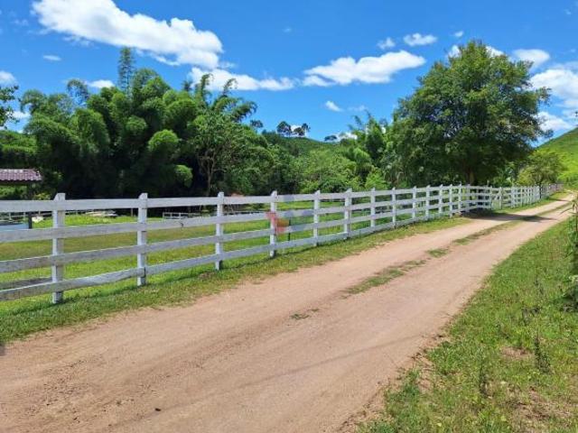 Sítio e chácara venda em Região Geográfica Imediata de Curitiba, Região Metropolitana de Curitiba