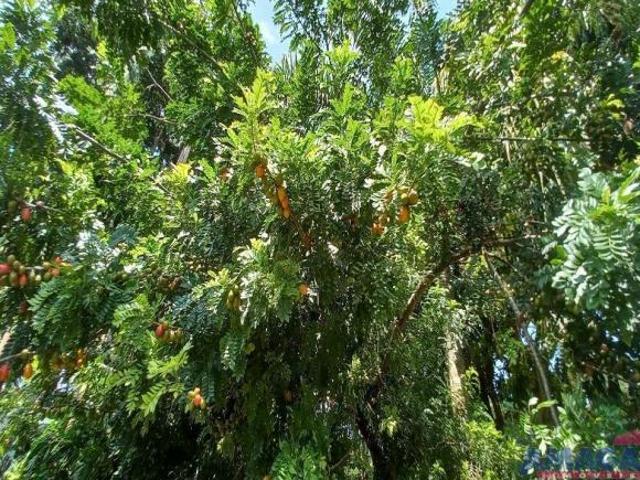 Sítio e chácara venda em Região Imediata de São José dos Campos, Região Metropolitana do Vale do Paraíba e Litoral Norte