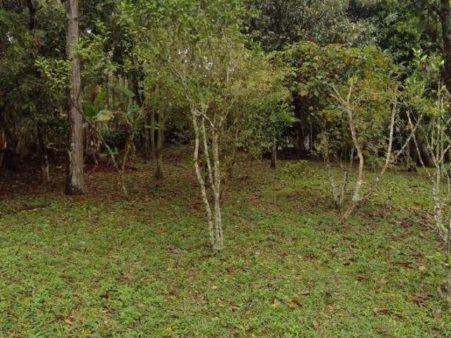 Sítio e chácara venda em Região Imediata de São Paulo, Região Metropolitana de São Paulo
