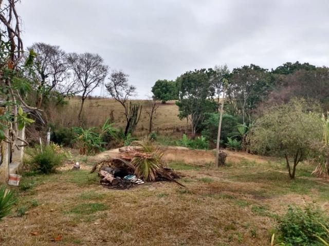 Sítio e chácara venda em Cosmópolis, Região Geográfica Intermediária de Campinas