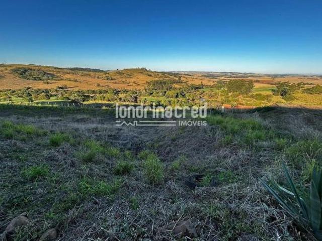 Sítio e chácara venda em Região Geográfica Imediata de Londrina, Londrina