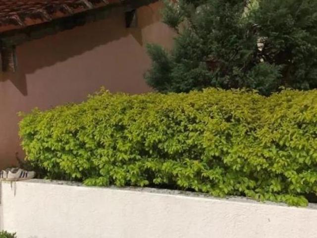 Sítio e chácara venda em Região Imediata de São Paulo, Região Metropolitana de São Paulo