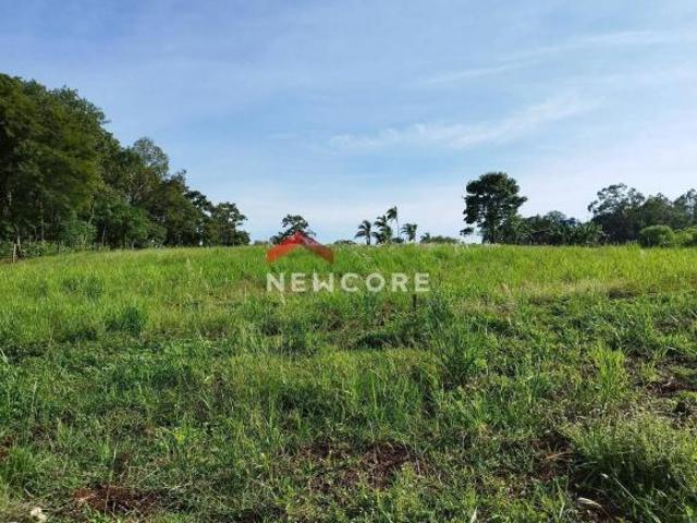 Sítio e chácara venda em Região Geográfica Imediata de Londrina, Jataizinho