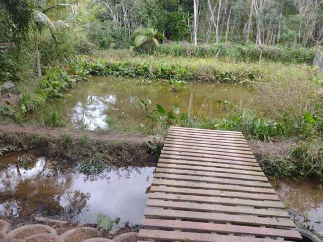 Sítio e chácara venda em Região Imediata de São Paulo, Região Metropolitana de São Paulo