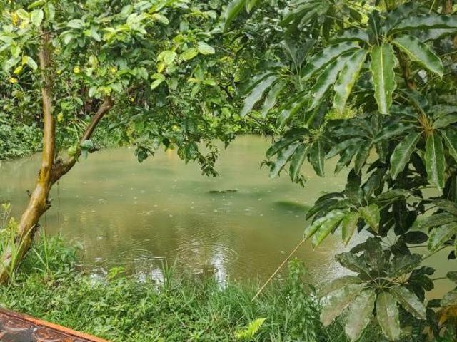 Sítio e chácara venda em Região Imediata de São Paulo, Região Metropolitana de São Paulo