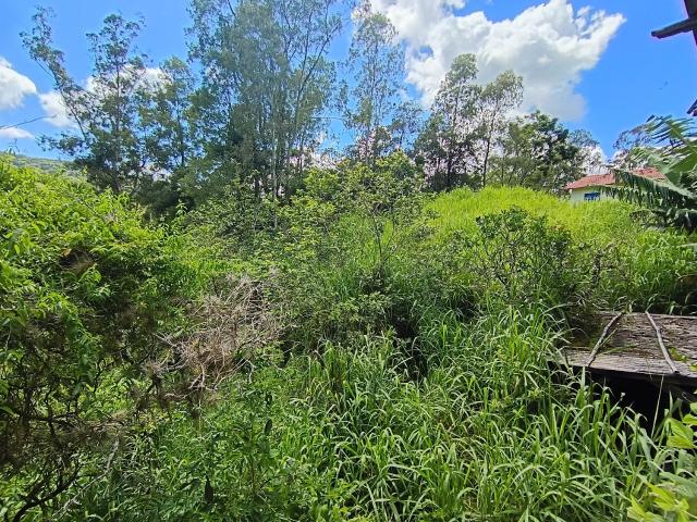 Sítio e chácara venda em Região Geográfica Imediata de Tubarão, Laguna