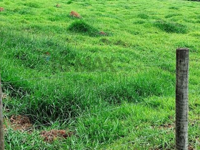 Sítio e chácara venda em Betânia, Pedra do Indaiá