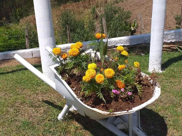 Sítio e chácara venda em Caldas, Região Geográfica Intermediária de Pouso Alegre