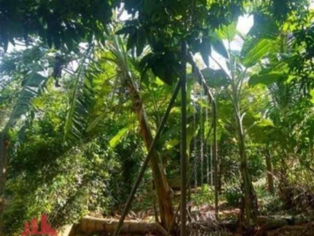 Sítio e chácara venda em Região Imediata de Limeira, Região Metropolitana de Piracicaba