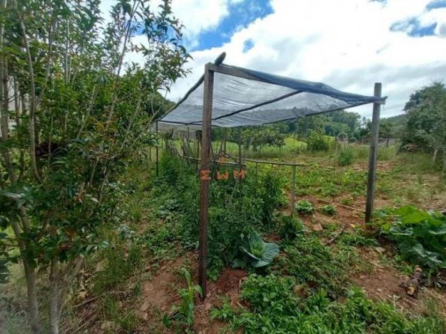 Sítio e chácara venda em Região Geográfica Imediata de Caxias do Sul, Farroupilha